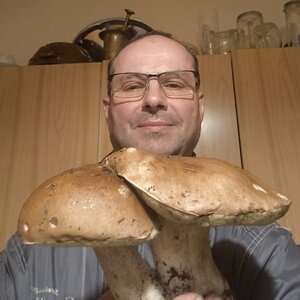 peta5
