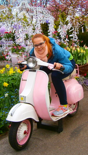 Seznámení s anetzem