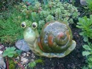 Seznámení s idanyi