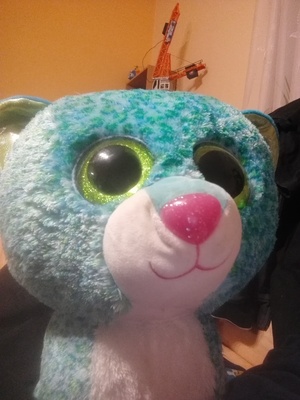 Seznámení s Okyr79