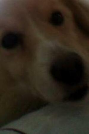 Seznámení s nevimvubec