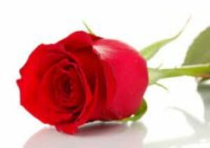 Seznámení s sbrenda