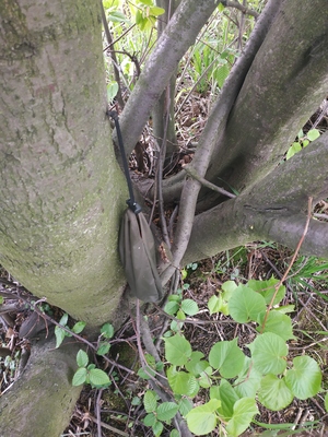 Seznámení s Animek