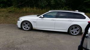 Seznámení s Stromovous