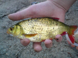 Seznámení s Lukas112233