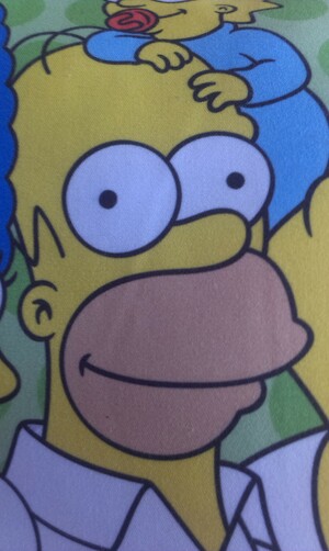 Seznámení s wolf12