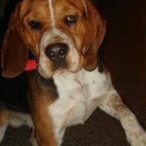 Seznámení s petra_vydrova1