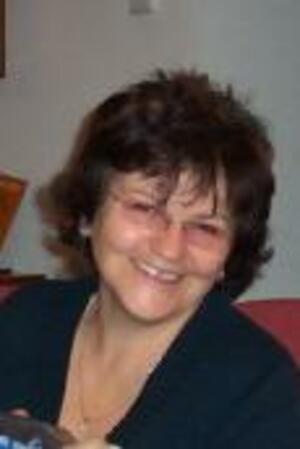 Seznámení s vaneli