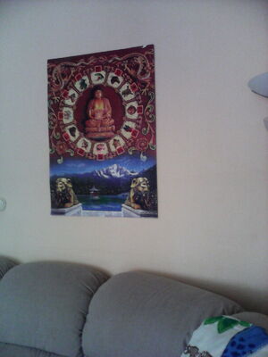 Seznámení s sadros