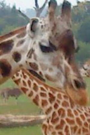 Seznámení s matessik