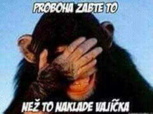 Seznámení s Georges1