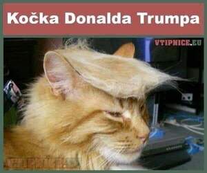 Seznámení s KozelBuf