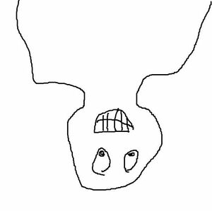 Seznámení s Loliamtroll