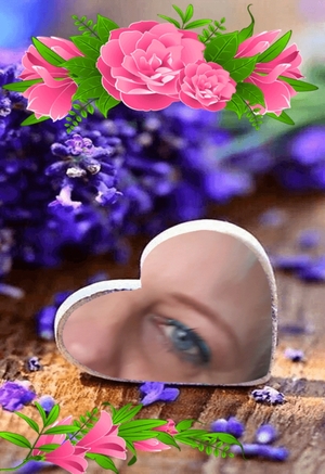 Seznámení s Sen123