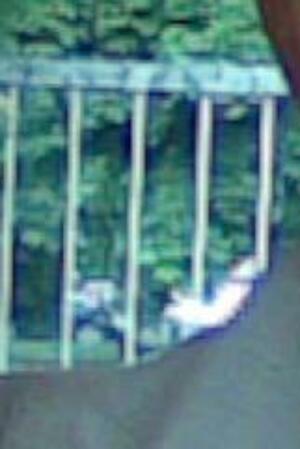 Seznámení s jarda06