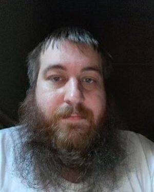 michal331