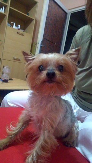 Seznámení s marek111222