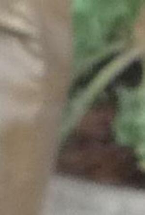 Seznámení s Aninaa