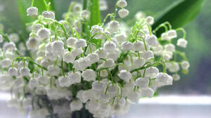 Seznámení s Julia14