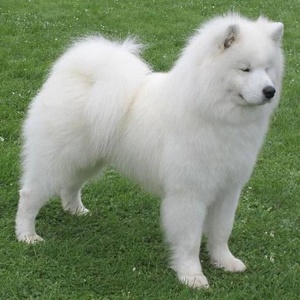 Seznámení s johny203