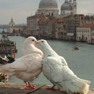 Seznámení s Lhlewis