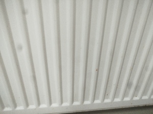 Seznámení s pavel357