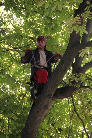 Seznámení s komturjosef1