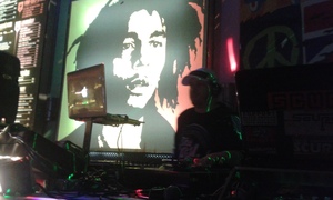 Seznámení s BotaNika