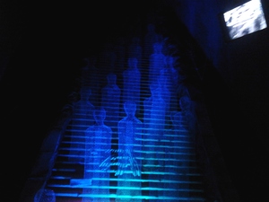 Seznámení s mrkevmrk