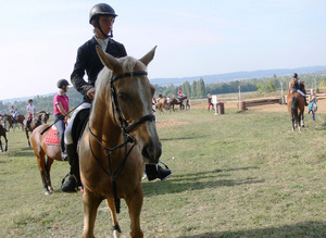 Seznámení s Bittner