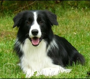 Seznámení s ROMCA77