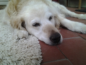 Seznámení s sisi2525