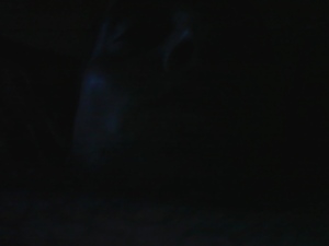 Seznámení s fifa30