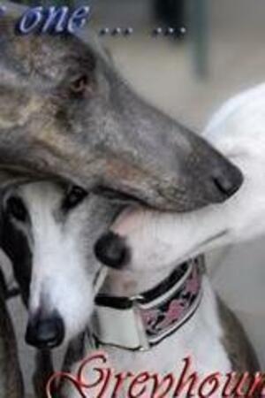 Seznámení s ILONAxx