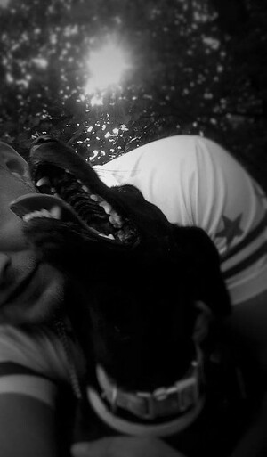 Seznámení s tadesky