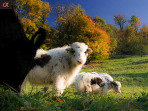 Seznámení s Lenka_123