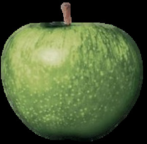 Seznámení s tomasflex