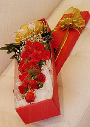 Seznámení s fatima200