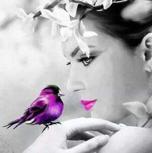 Seznámení s aniccka