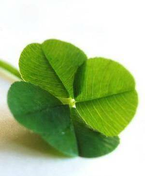 Seznámení s Marcela12