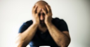 Seznámení s hylotrupes