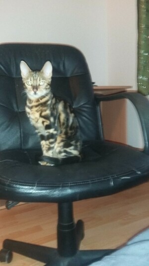 Seznámení s Vikiss87