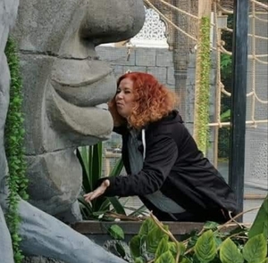 Seznámení s pastika