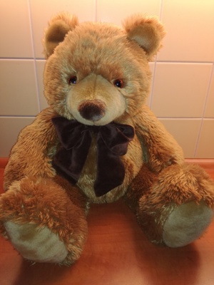 Seznámení s Queezara