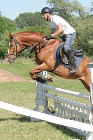 Seznámení s curtis_x