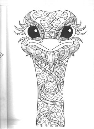 Seznámení s bembelinek