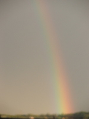 Seznámení s pixelfields3