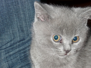 Seznámení s Pepicek24