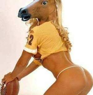 Seznámení s mrdalbych