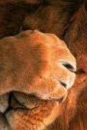 Seznámení s Harryn